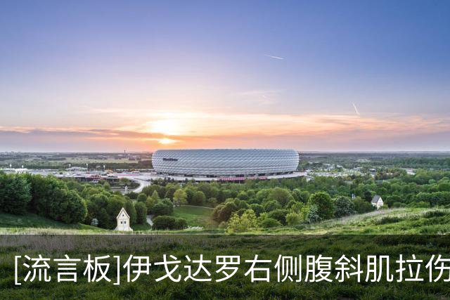 [流言板]伊戈达罗右侧腹斜肌拉伤，明日对阵勇士大概率缺席